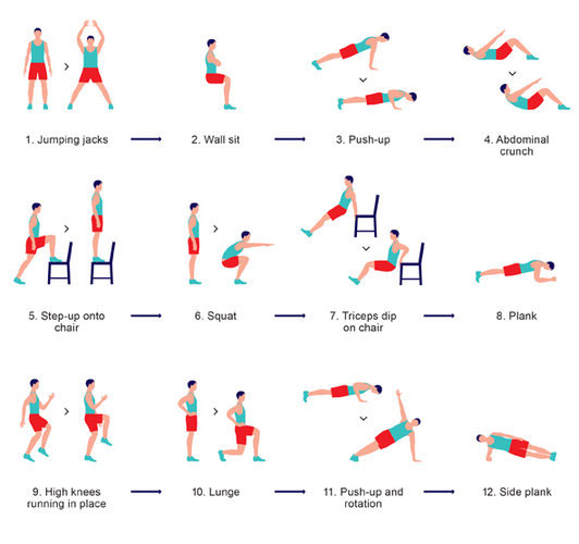 文章中介绍的12种运动姿势。