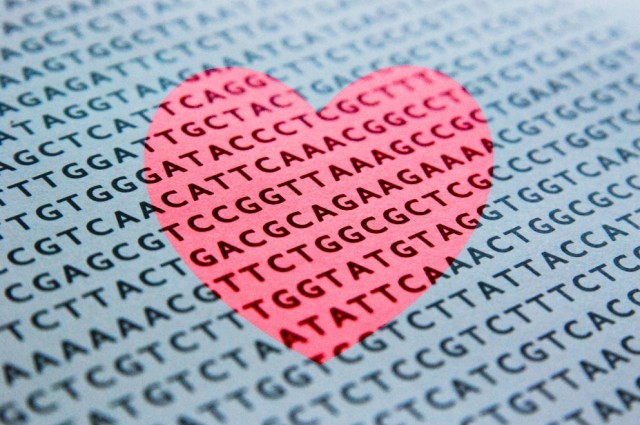 基因型影响单身与否吗？图片来源：iflscience.com