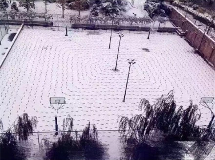 每日一笑：北京下雪一奇人！