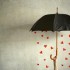 heart-love-rain-umbrella-Favim.com-355952